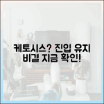 케토시스 상태란 무엇인가? 진입 확인 방법과 유지 비결