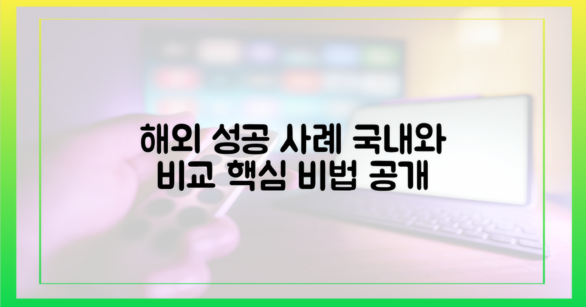 국내외 성공 사례 비교