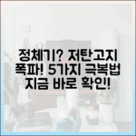 저탄고지 다이어트 정체기: 원인과 현명한 극복 전략 5가지