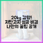 저탄고지 다이어트 성공 사례: 20kg 감량자가 말하는 핵심 비결