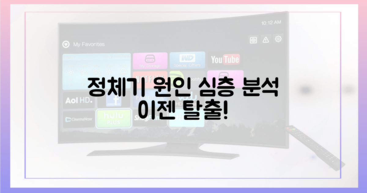 정체기 원인 심층 분석