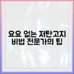 저탄고지 다이어트, 요요 현상 없이 유지하는 방법 (전문가 조언)