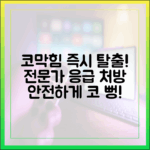 지긋지긋한 코막힘, 즉각 해결을 위한 전문가의 응급 처방과 안전한 관리법