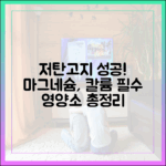 저탄고지 다이어트 성공을 위한 필수 영양소 가이드 (마그네슘, 칼륨)