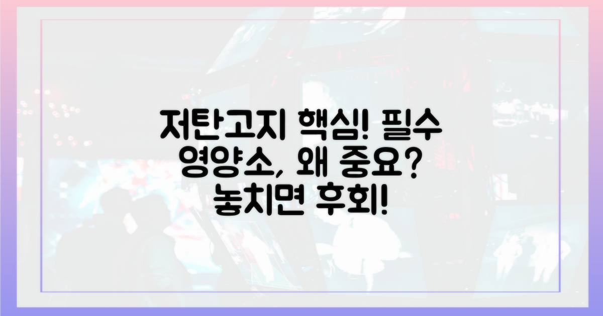 저탄고지 필수 영양소, 왜 중요할까?