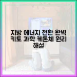 키토제닉 다이어트의 과학: 지방이 에너지로 쓰이는 과정 완벽 해설