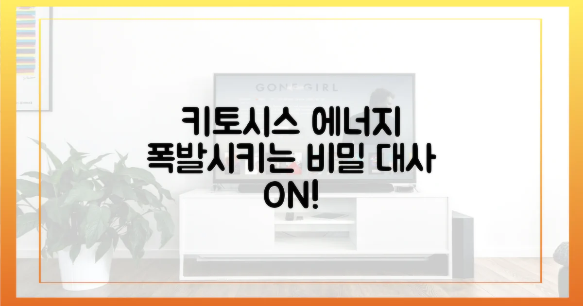 키토시스, 에너지 대사 비밀