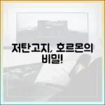 저탄고지 식단이 우리 몸의 호르몬에 미치는 영향: 심층 분석