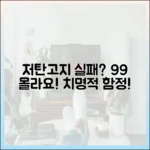 당신이 저탄고지에 실패하는 이유: 99%가 모르는 함정들
