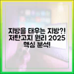 지방을 태우는 지방? 저탄고지 다이어트의 과학적 원리 (2025년 해설)