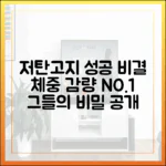 저탄고지 성공 사례 심층 분석: 그들은 어떻게 체중 감량에 성공했나
