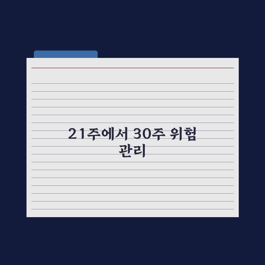 임신 주차별 변화 - 21~30주 핵심 정리 심층분석, 전문가 5대 수칙