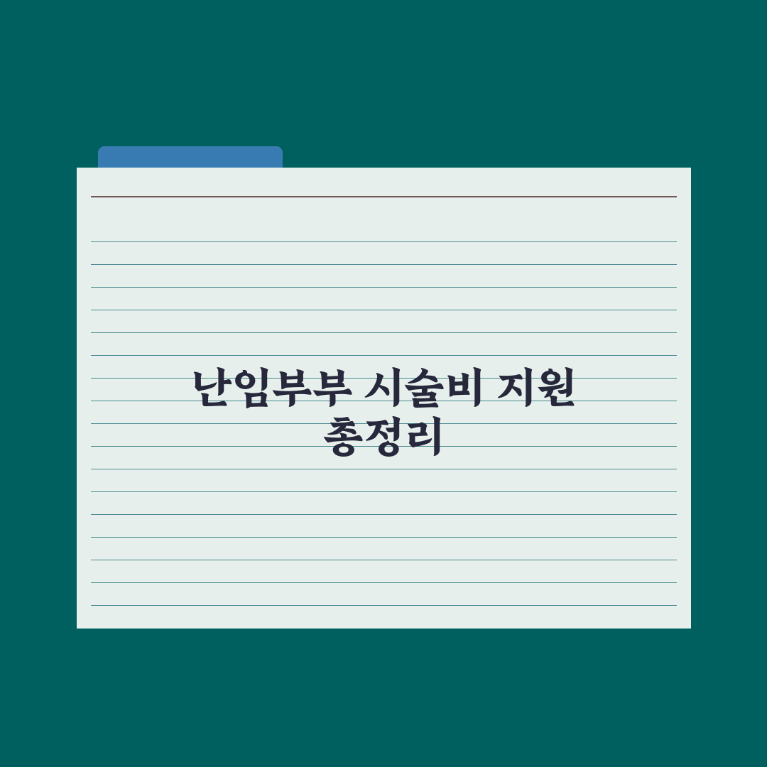 난임부부 시술비 지원사업 정리 완벽가이드, 실무자가 분석한 5가지 핵심