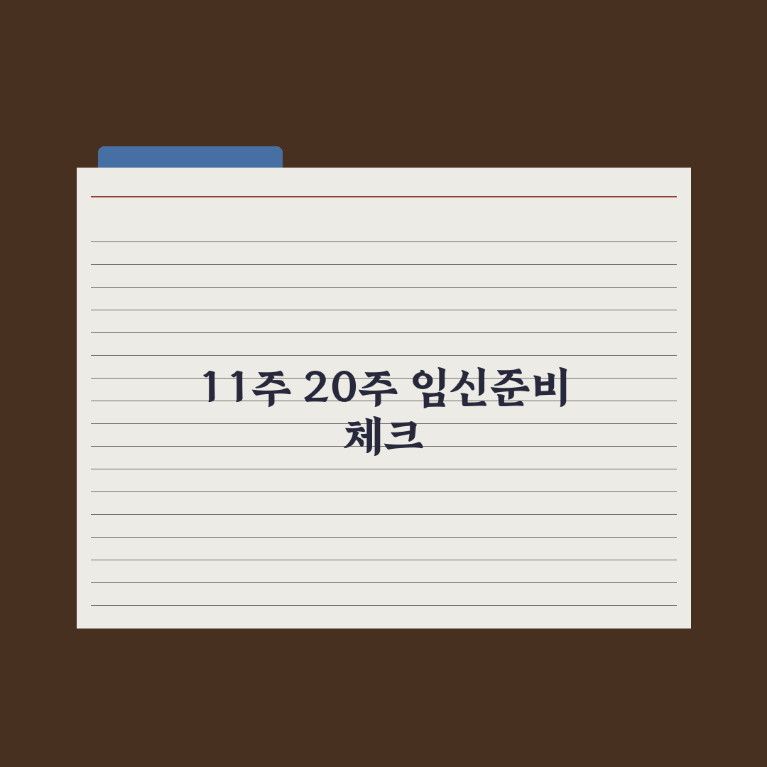 임신 주차별 변화 - 11~20주 핵심 정리 심층분석, 필독 5대 지표