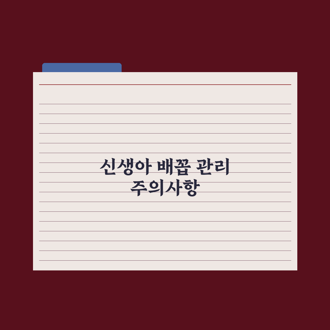 신생아 배꼽 케어 - 떨어질 때까지 관리법 완벽가이드: 초보 부모 5단계 핵심정리
