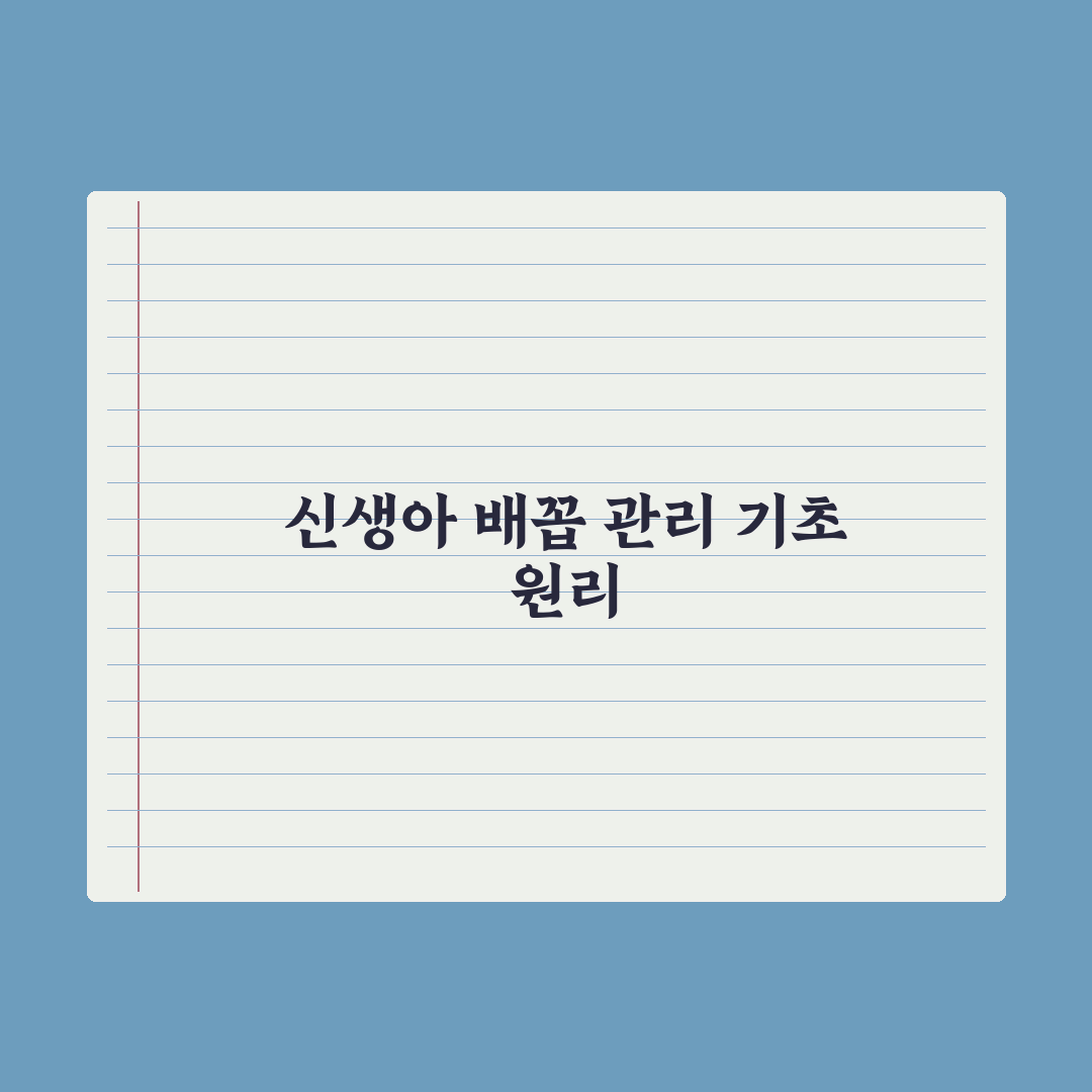 신생아 배꼽 케어 - 떨어질 때까지 관리법 완벽가이드: 초보 부모 5단계 핵심정리