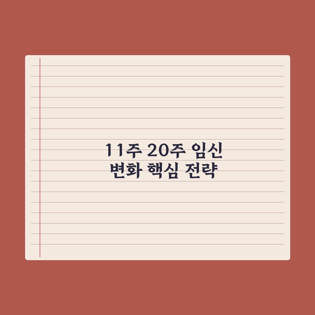 임신 주차별 변화 - 11~20주 핵심 정리 심층분석, 필독 5대 지표