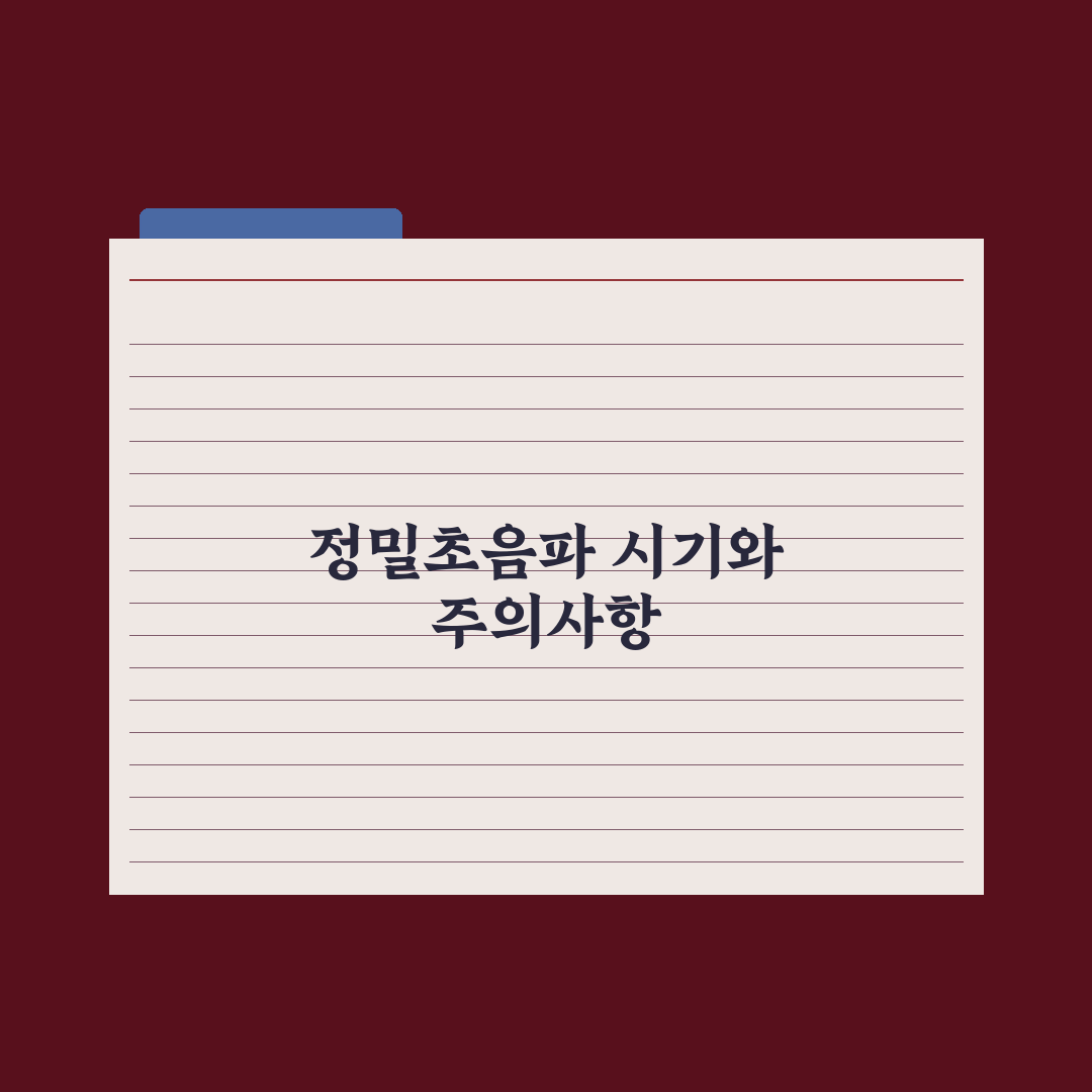 정밀초음파 검사 시기와 확인 항목 핵심정리, 전문의가 꼽은 7가지 포인트