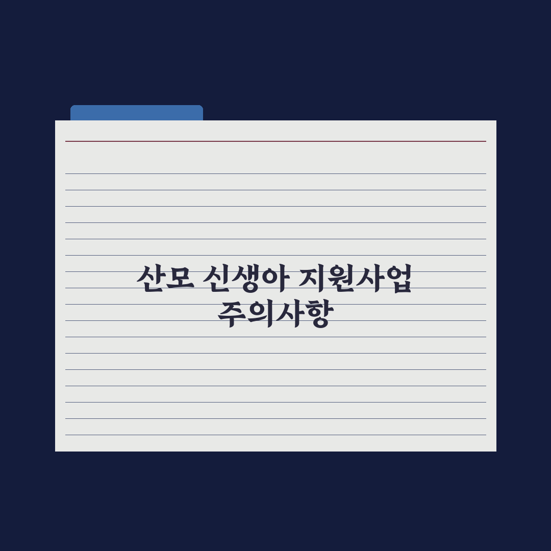 산모·신생아 건강관리 지원사업 정리 심층분석: 전문가의 5대 핵심 전략