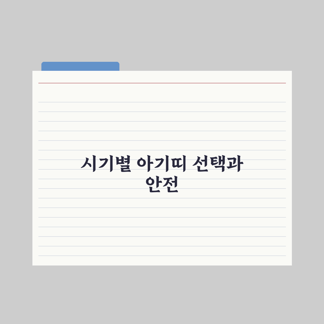 아기띠 선택 기준 - 시기별 추천 형태 심층분석, 전문가의 5대 핵심정리