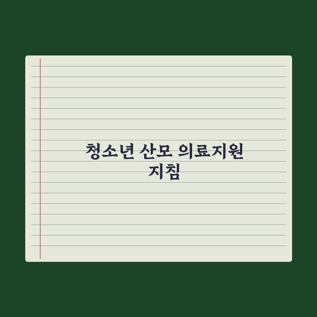 청소년 산모 임신·출산 의료비 지원 완벽가이드, 전문가의 3단계 핵심정리