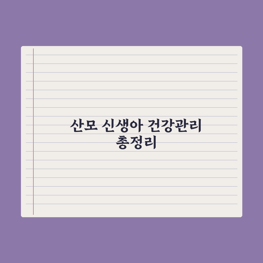 산모·신생아 건강관리 지원사업 정리 심층분석: 전문가의 5대 핵심 전략
