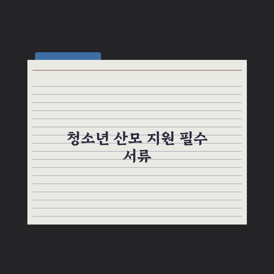 청소년 산모 임신·출산 의료비 지원 완벽가이드, 전문가의 3단계 핵심정리